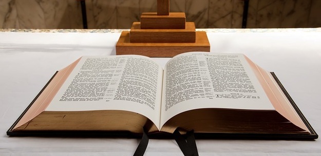 King James Bible of Netherlands Reformed Congregation